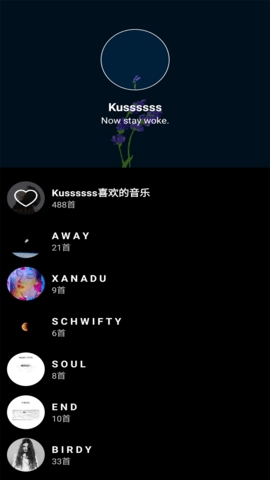 倒带音乐软件截图