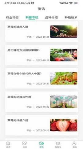 泉水草莓最新版截图