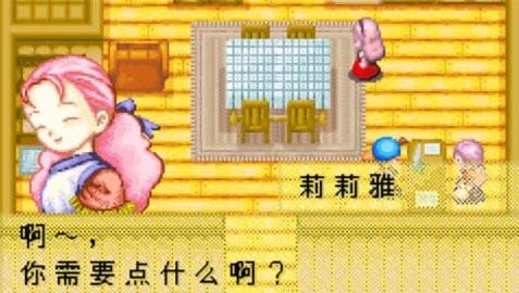 牧场物语矿石镇的伙伴们男孩版安卓版截图