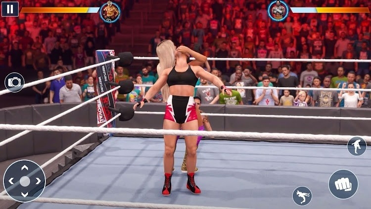 RealWrestling3D游戏截图