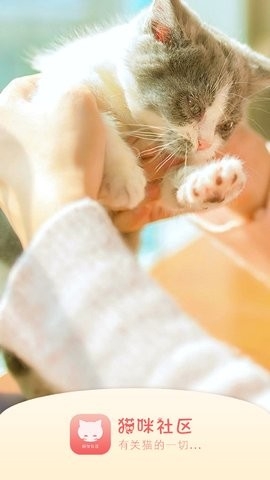 猫咪杜区app官网安卓截图