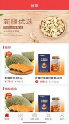 云豹丝路最新版截图