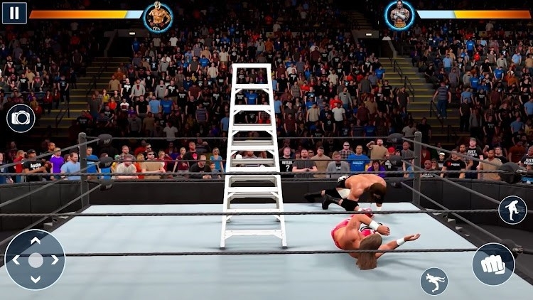 RealWrestling3D游戏截图