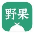 野果阅读app纯净版