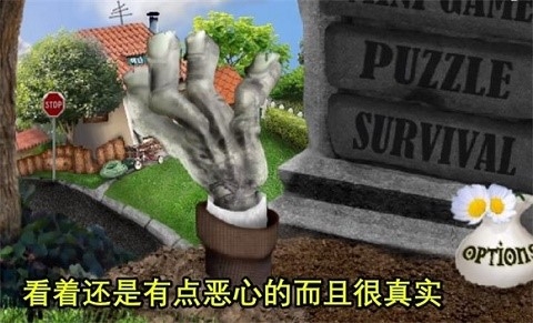 植物大战僵尸现实版下载截图