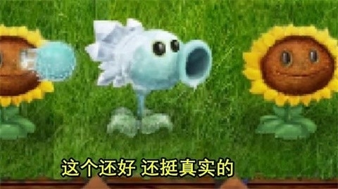 植物大战僵尸现实版下载截图