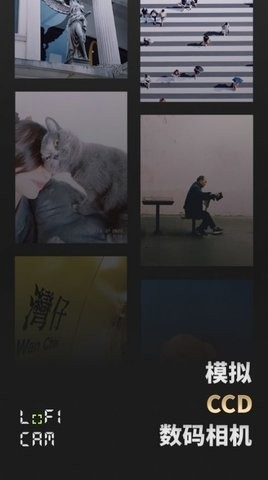 loficam相机安卓手机版截图