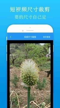 去水印吧2.1.1高级版截图
