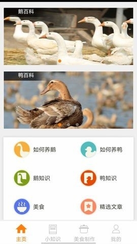 鹅鸭之家app手机版截图