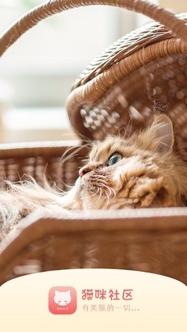 猫咪杜区app官网安卓截图