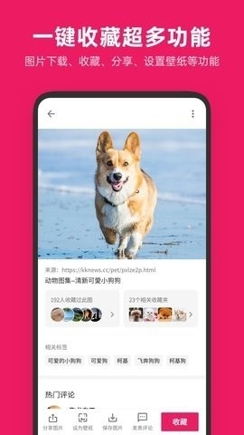 图片搜搜app最新版