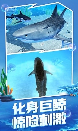 海底大猎杀正版截图